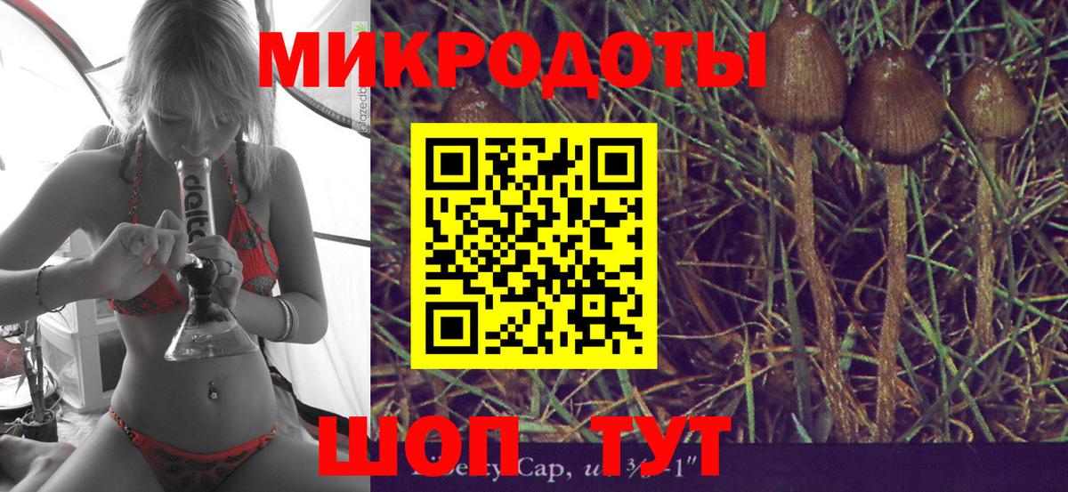 Магадан  Галлюциногенные грибы мицелий  Вход с VPN 